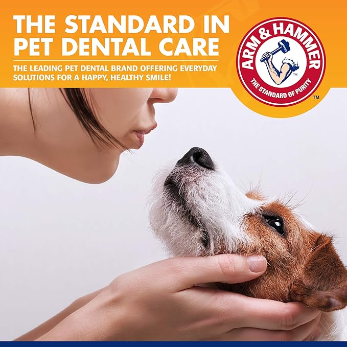 Arm & Hammer for Pets Tartar Control Enzymatic Toothpaste for Dogs Reduces Plaque & Tartar Buildup Safe for Puppies Beef Flavor, 2.5 Ounces Dog Toothpaste (Pack of 72)