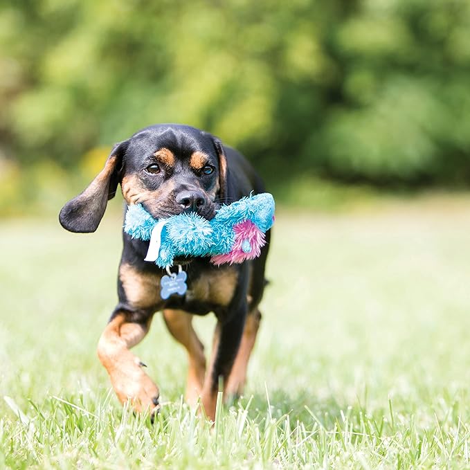 KONG Cozie Marvin The Moose and 3 SqueakAir Balls - Fun, Interactive Dog Toys - Balls for Fetch & Soft, Sturdy Toy for Indoor Play - for Small Dogs