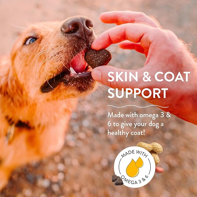 Shameless Pets Soft-Baked Dog Treats, Peanut Butter Apeel - Natural & Healthy Dog Chews for Skin & Coat Support with Omega 3 & 6 - Dog Biscuits Baked & Made in USA, Grain, Corn & Soy Free - 1-Pack