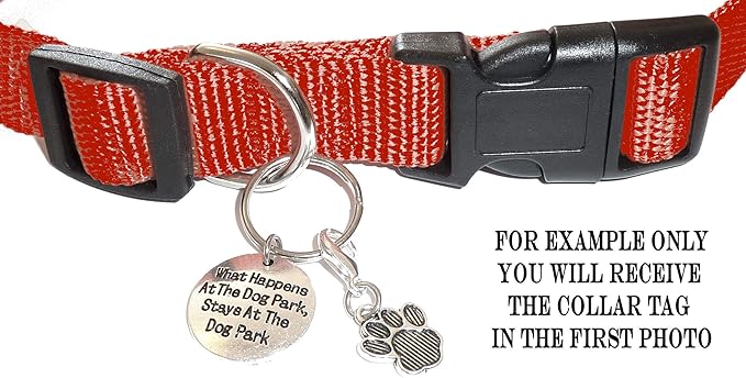 Hidden Hollow Beads Custom Pet Dog and Cat Tags, Funny Cute Sayings for Your Pet's Collar. for Pet Lovers. (What Happens at The Dog Park, Stays at The)
