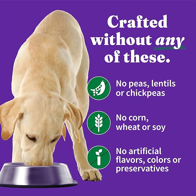 Halo Elevate Wet Dog Food, Grain Free, Smoky BBQ Shredded Chicken Stew with Sweet Potatoes & Green Beans, 12.7oz (Pack of 6)