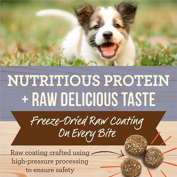 Merrick Healthy Grains Freeze Dried Raw Coated Kibble, Natural High Protein Puppy Food, Chicken and Brown Rice - 22.0 lb. Bag