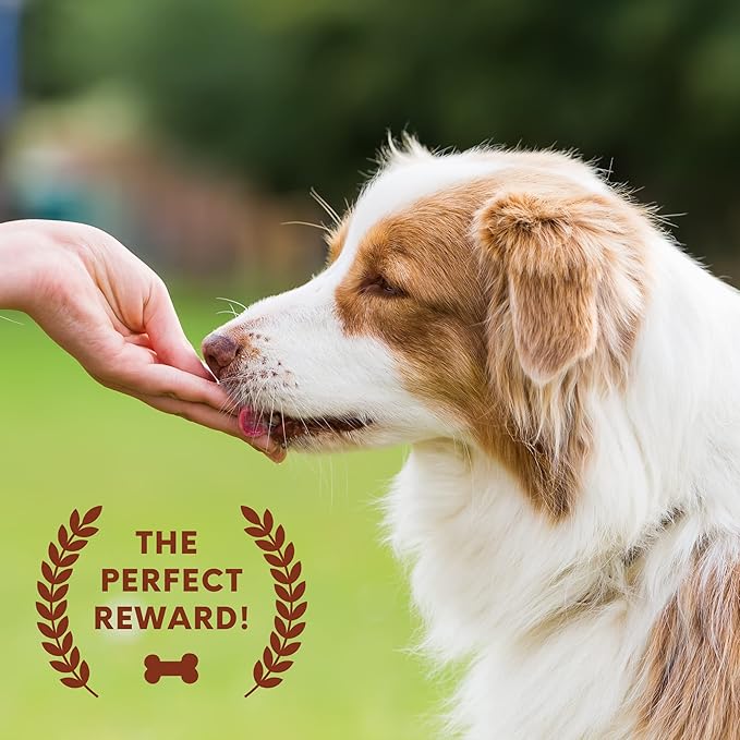 Turkey Jerky Dog Treats 15 Oz Real Turkey Jerky Chews Healthy Dog Treats - Natural Dog Treats Ideal for Training & Snacking - A Must-Have Soft Dog Treats for Small Dogs & Large Dogs!