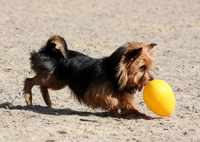 Jolly Pets Jolly Egg Dog Toy, 12 Inches/Large, Yellow