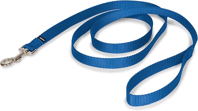 PetSafe Nylon Dog Leash - Strong, Durable, Traditional Style Leash with Easy to Use Bolt Snap - 3/4 in. x 6 ft., Royal Blue
