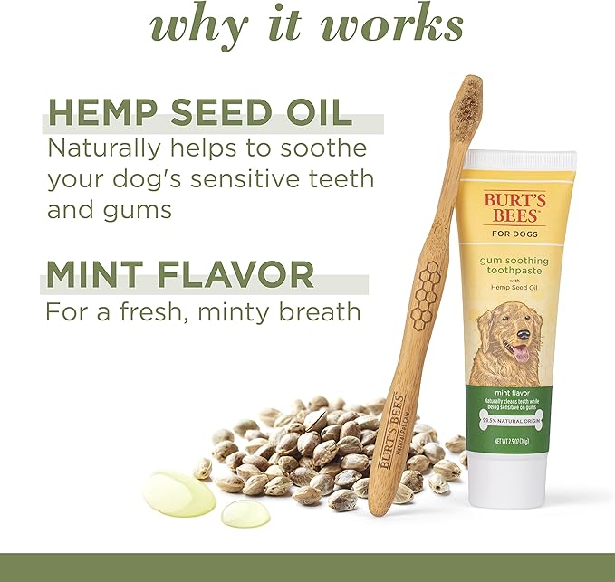 Burt's Bees for Pets Care+ Oral Care Kit, Gum Soothing Dog Toothpaste with Hemp Seed Oil and Bamboo Dog Toothbrush - Dog Tooth Brushing Kit for Dog Dental Care from Burt's Bees