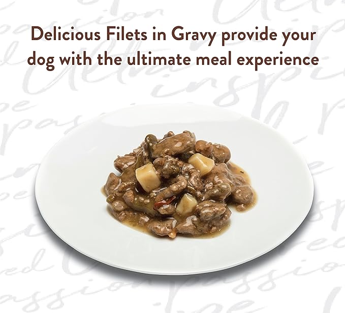NUTRO ULTRA Grain Free Adult Soft Wet Dog Food Filets in Gravy Juicy Duck & Potato Entrée With Green Beans, 3.5 oz. Trays, Pack of 24