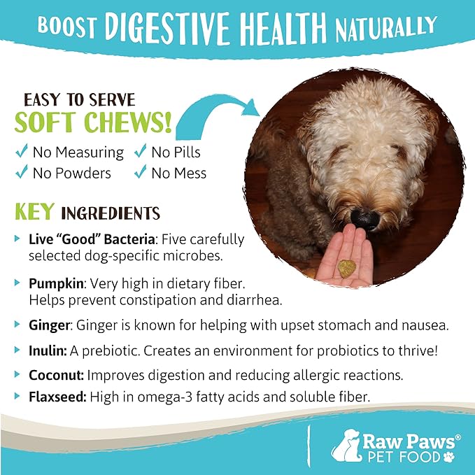Raw Paws Natural Dog Probiotic Supplement with Prebiotics, 10-oz/100-ct - USA Made Daily Probiotic for Dogs Soft Chew - Treat Diarrhea in Dogs, Yeast, Dog Breath & Gas with our Canine Probiotic Chews