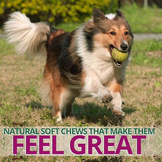 Digestive Supplement for Dogs - Recommended Probiotics Chew by FurParents - Improves Digestive and Gut Health, Helps with Diarrhea, Upset Stomach, Bad Breath & Constipation, 120 Count
