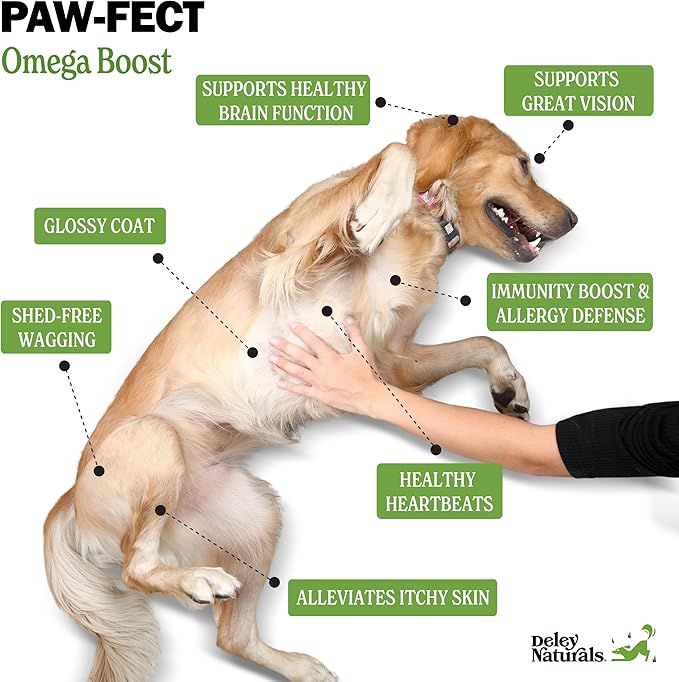 Wild Caught Fish Oil for Dogs - 32oz - Omega 3-6-9, GMO-Free - Reduces Shedding, Supports Skin, Coat, Joints, Heart, Brain, Immune System - Highest EPA & DHA Potency - Only Ingredient is Fish