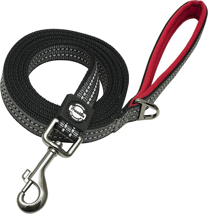 Franklin Pet Supply Nylon Dog Leash – Reflective – Comfort Fit – Neoprene Handle – 6 Foot – Dog Training – Walking – Red