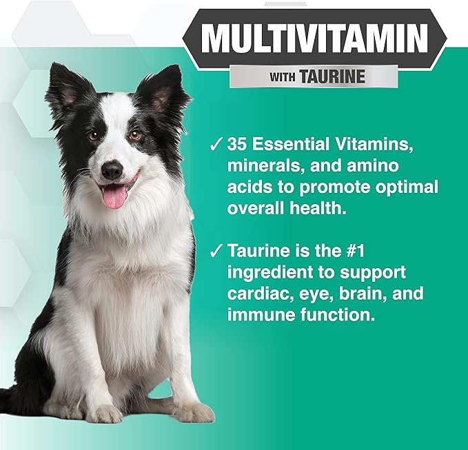 Nootie Progility Multvitamin for Dogs, Multivitamin Supplement for Dogs with Taurine, 90 Soft Chews per Container