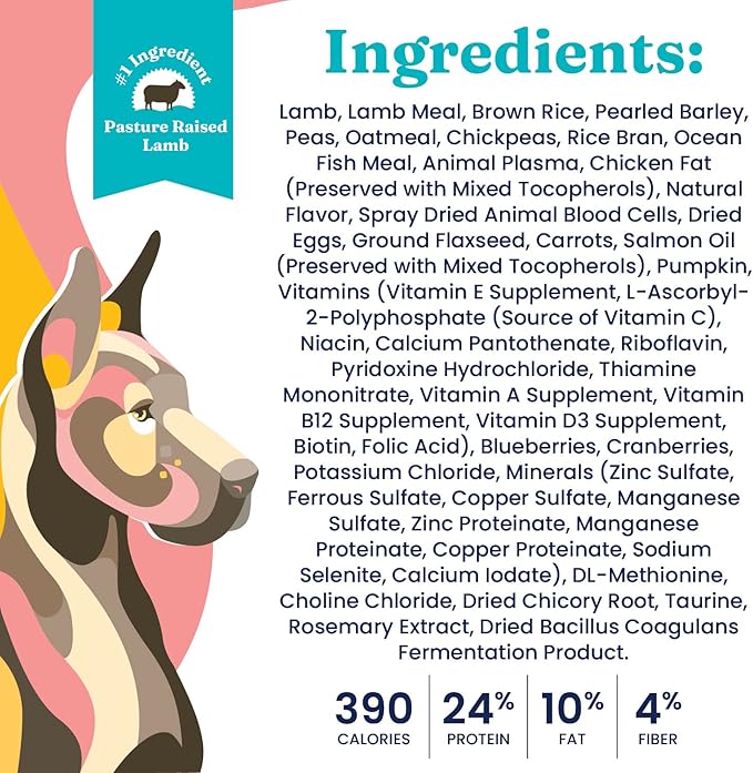 Solid Gold Dry Dog Food for Adult & Senior Dogs - Made with Real Lamb & Brown Rice - NutrientBoost Hund-N-Flocken Healthy Dog Food for Weight Management & Digestive Support