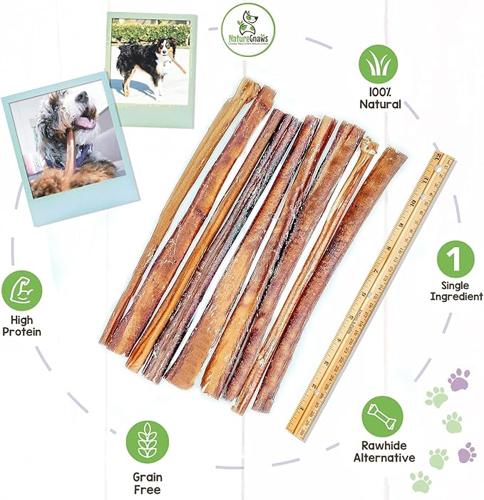 Nature Gnaws Bully Sticks for Large Dogs - Premium Natural Beef Dental Bones - Thick Long Lasting Dog Chew Treats for Aggressive Chewers - Rawhide Free - 12 Inch (10 Count)