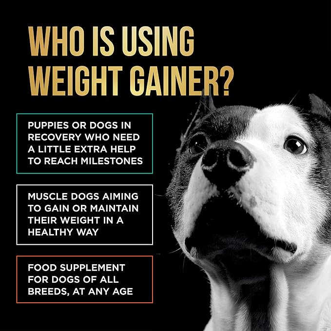Dog Weight Gainer - Weight Gain Supplements for Dogs - Canine and Dog Muscle Builder - Dog Protein Powder - High Calorie Dog Food Supplement - Made in The USA