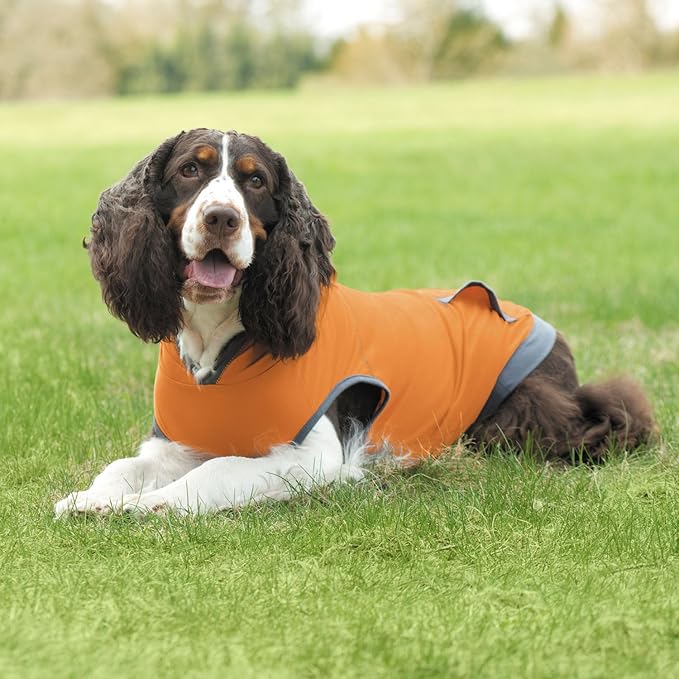 Insect Repellant Lightweight Hoodie for Protecting Dogs from Fleas, Ticks, Mosquitoes & More 20-Inch