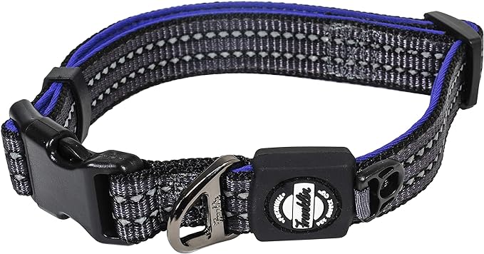 Nylon Dog Collar – Reflective – Franklin Pet Supply Co™ – Comfort Fit – Neoprene – Adjustable – Large – Purple