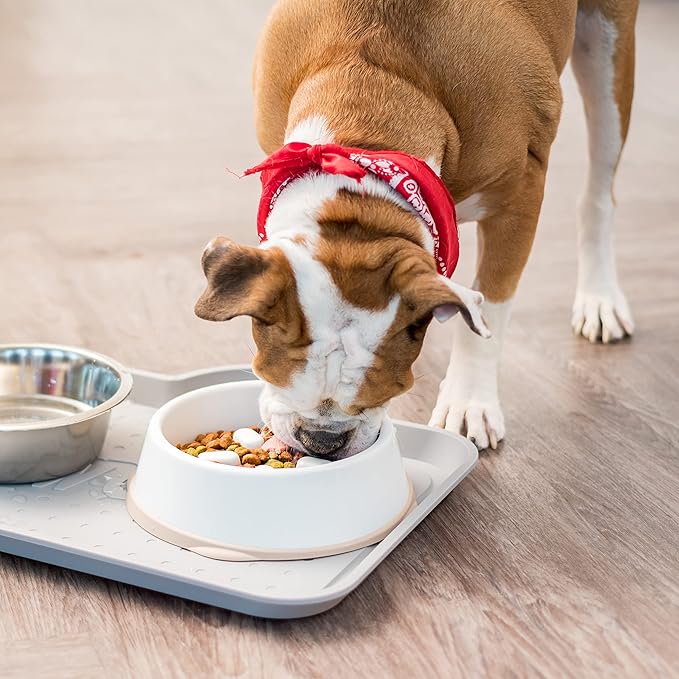 IRIS USA 4 Cups Slow Feeder Dog Bowl, Anti-Choking, Anti-Slip, Easy to Clean, Interactive Puzzle Toy, Healthy Digestion, Short snouted, Dogs Cats & Other Pets, BPA, PVC, Phthalate Free, White/Beige