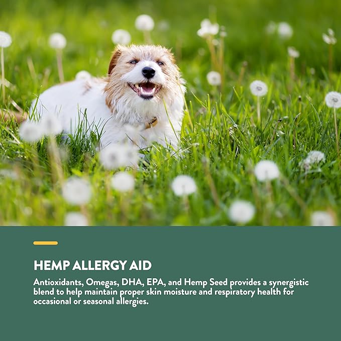 NaturVet Hemp Allergy Aid Supplement for Dogs, Hemp Seed, Antioxidants, Omegas, Dha & Epa for Healthy Skin & Respiratory Health, 60 Count