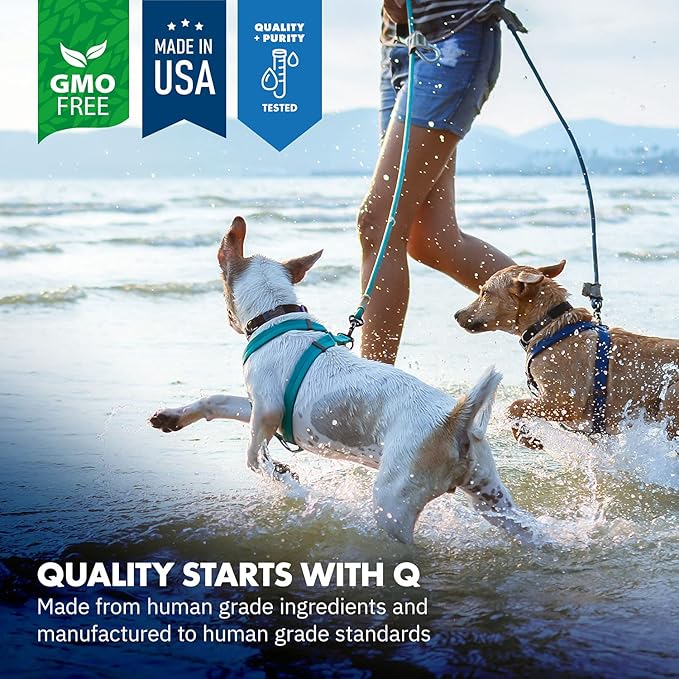 Green Lipped Mussel Powder for Dogs, All-Natural Hip & Joint Support Dietary Supplement Formula for Dogs (120 Servings)