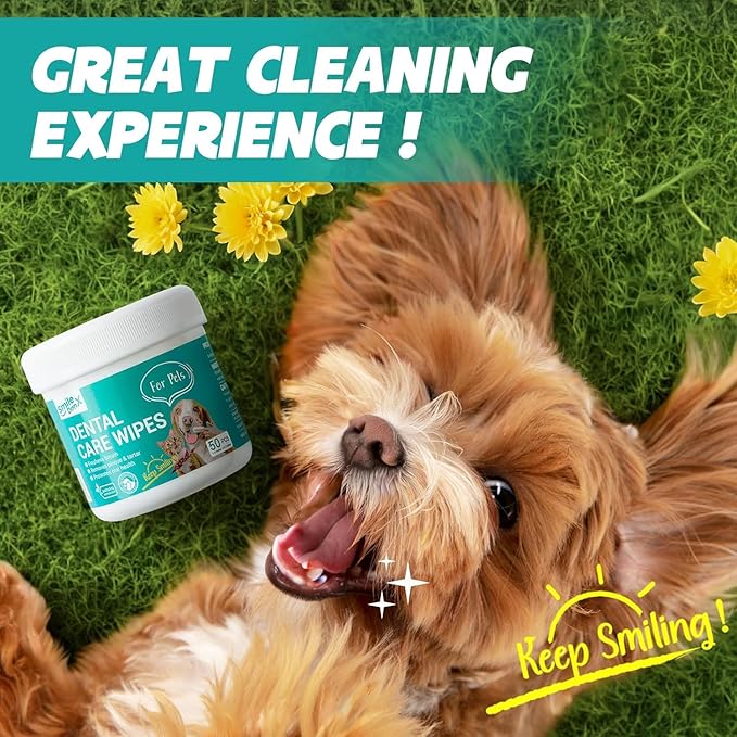 Teeth Cleaning Finger Wipes for Dogs & Cats - Gentle Removing Bad Breath & Plaque & Tartar Buildup - Disposable Dog Tooth Brushing Kit Wipes, Dog Dental Care Wipes - 50 Counts