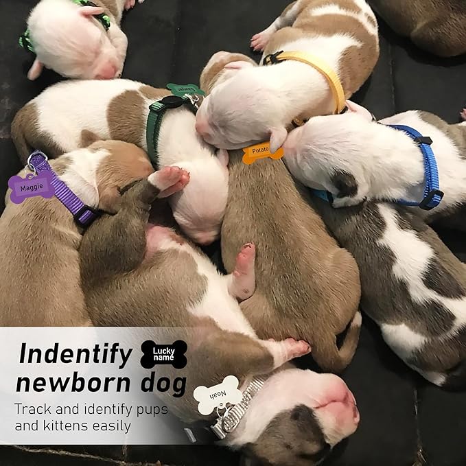 GAMUDA Puppy Collars ID Tags – Super Soft Whelping Puppy ID - Adjustable Breakaway Litter Collars Pups – Assorted Colors Plain & Identification Collars with 2 Record Keeping Charts - Set of 12 (S)