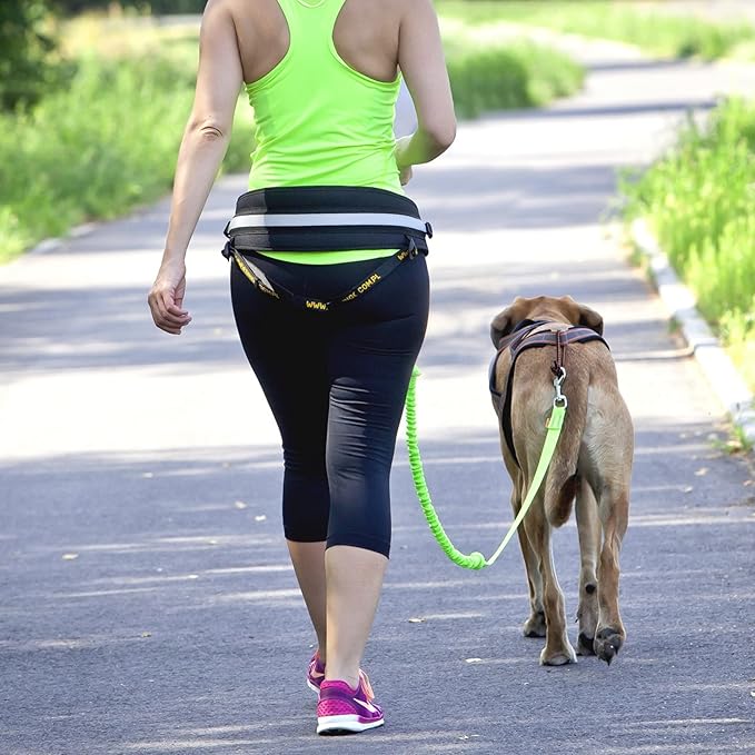 Dingo hands free leash belt for dog walking running hiking, training leash for large dog, bungee leash for medium dog, comfortable adjustable belt for walking with small dog, handle with o-ring Z30004