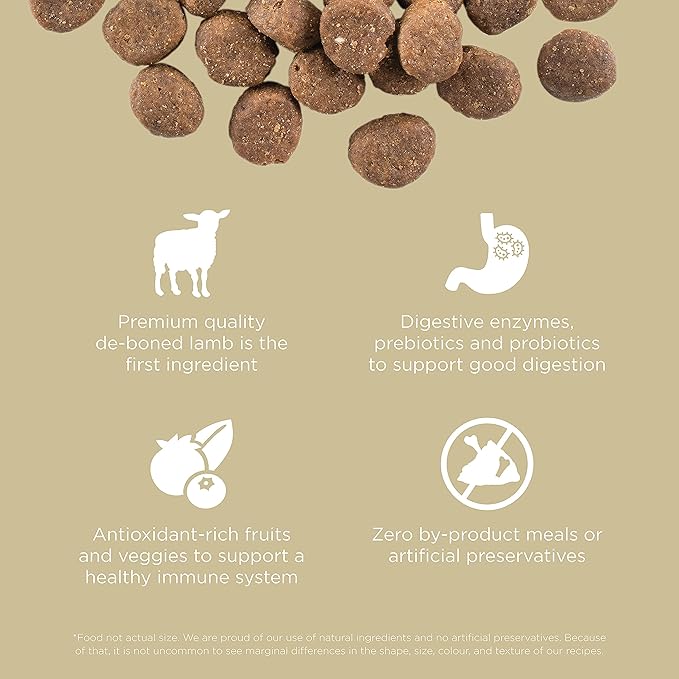 GO! SOLUTIONS Carnivore Grain Free Dog Food, 3.5 lb – Lamb + Wild Boar Recipe – Protein Rich Dry Dog Food – Complete + Balanced Nutrition for All Life Stages