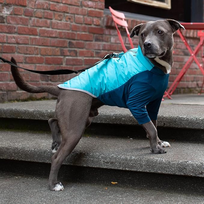 Furhaven Water-Repellent Medium Dog Coat, Washable w/ Leash Access & Stretch Fabric - Pro-Fit Active Jacket - Aquamarine, Medium