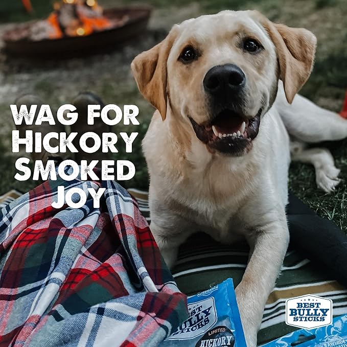 Best Bully Sticks Hickory Smoked Marrow Bones for Large Dogs, 3 Pack - USA Smoked & Packed - No Additives Beef Dog Treats - Long Lasting Dog Chews
