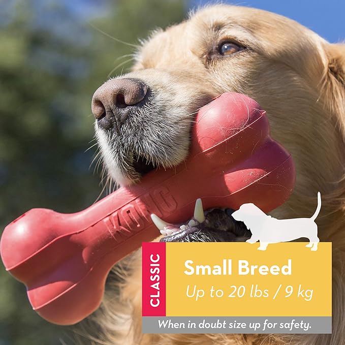 KONG Goodie Bone - Classic Durable Natural Rubber Dog Bone, Supports Mental Engagement - Treat Dispensing - Red - for Small Dogs