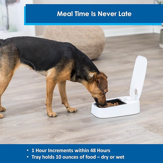 TRIXIE TX1 Automatic Food Dispenser, Single Serving, 48-Hour Timer, Battery Operated,White