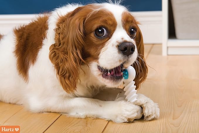 Hartz Chew ‘n Clean Twisty Bone Dog Chew Toy, Bacon Scented for Moderate Chewers, Extra Small (Pack of 2)