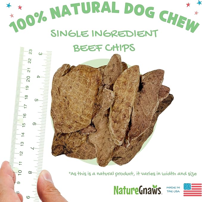 Nature Gnaws USA Crunch Chips for Dogs - Single Ingredient Natural Dog Chew Jerky Treats – Made in USA (8 oz)