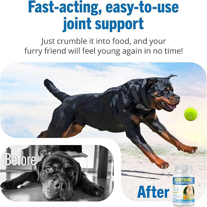 Hip and Joint Supplement for Dogs - Glucosamine for Dogs - Joint Support Supplement for Dogs with Glucosamine, Chondroitin and Green Lipped Mussels - 120 Tablets for All Breeds & Sizes