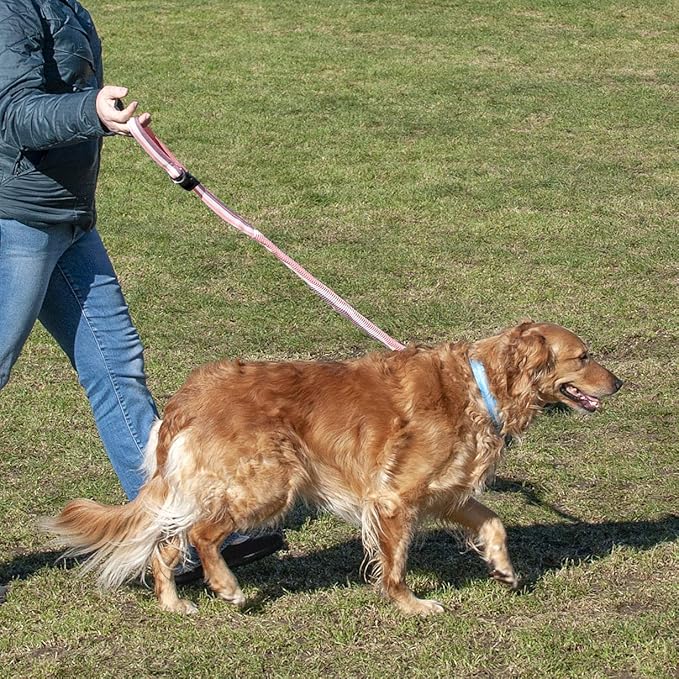 Furhaven Bungee Dog Leash w/ Quick Release Easy Tether - Mermaid Stripe, One Size