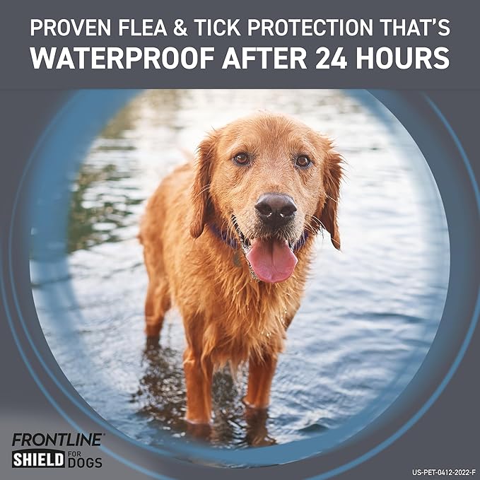 FRONTLINE Shield Flea & Tick Treatment for Large Dogs 41-80 lbs., Count of 6