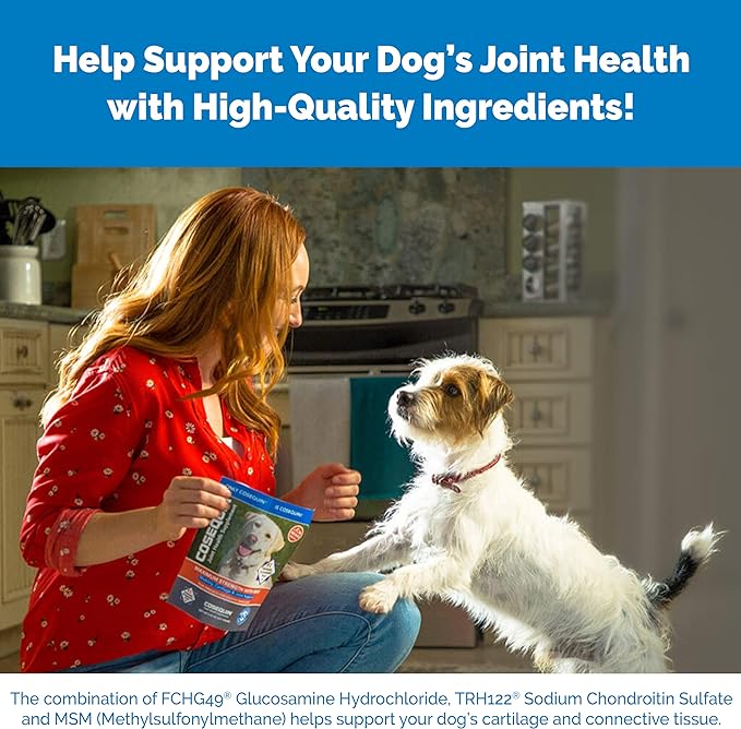 Nutramax Laboratories Cosequin Maximum Strength Joint Health Supplement for Dogs - With Glucosamine, Chondroitin, and MSM, 250 Chewable Tablets