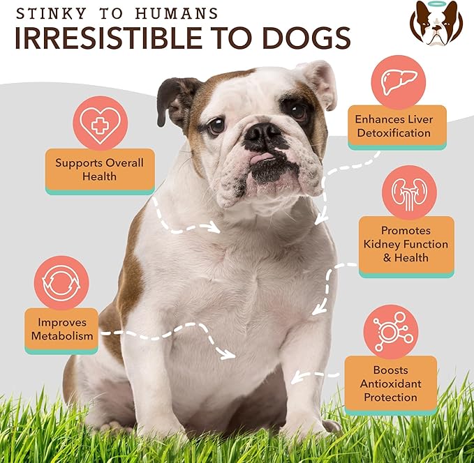 Natural Dog Company Stinky Liver & Kidney Supplement Chews - Dog Liver Support for Optimal Health - Turkey Flavored Treats - Promotes Digestion and Immune Health – Milk Thistle for Dogs (90 Chews)