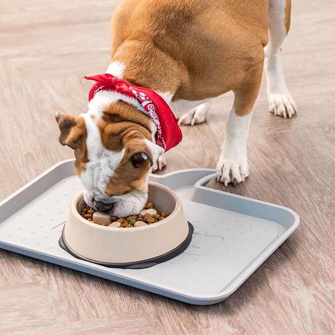 IRIS USA 4 Cups Slow Feeder Dog Bowl, Anti-Choking, Anti-Slip, Easy to Clean, Interactive Puzzle Toy, Healthy Digestion, Short snouted, Dogs Cats & Other Pets, BPA, PVC, Phthalate Free, Beige/Black