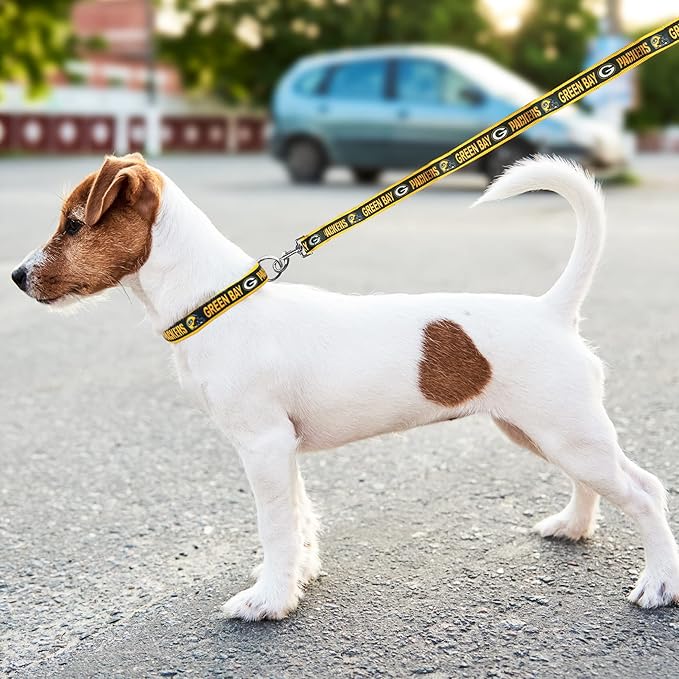 NFL PET Leash Green Bay Packers Dog Leash, Small Football Team Leash for Dogs & Cats. A Shiny & Colorful Cat Leash & Dog Leash Licensed by The NFL