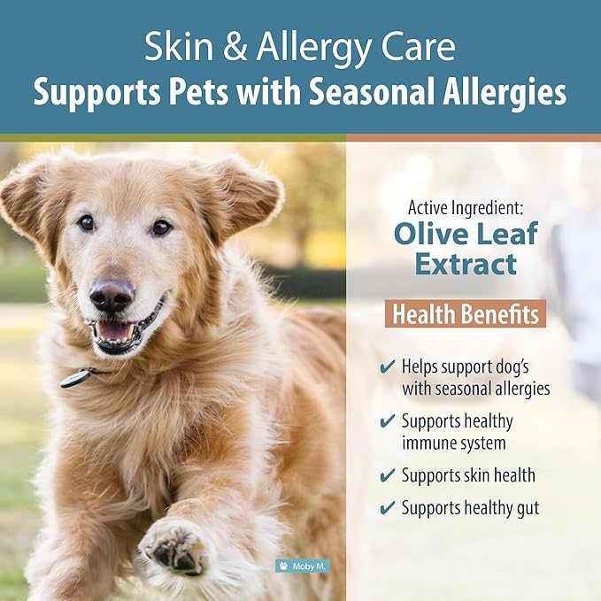 JustFoodForDogs Dog Allergy Supplement for Immune System Support, Skin & Allergy Care - 60 count