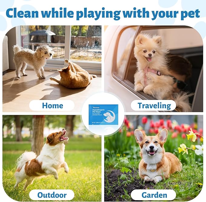 Nexnova™ glove wet wipes for pets dogs and cats, 5 pcs, Cleaning Deodorizing Bathing Hypoallergenic Grooming Unscented