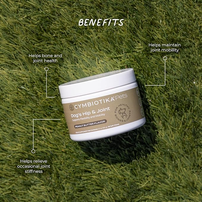 CYMBIOTIKA Dog Hip & Joint Support Supplement, Cod Liver Oil and MSM Supplement for Dog Bone Health Support, Omega Rich Chewy Treats for Small to Large Breed Dogs, Peanut Butter Flavor, 50 Chews