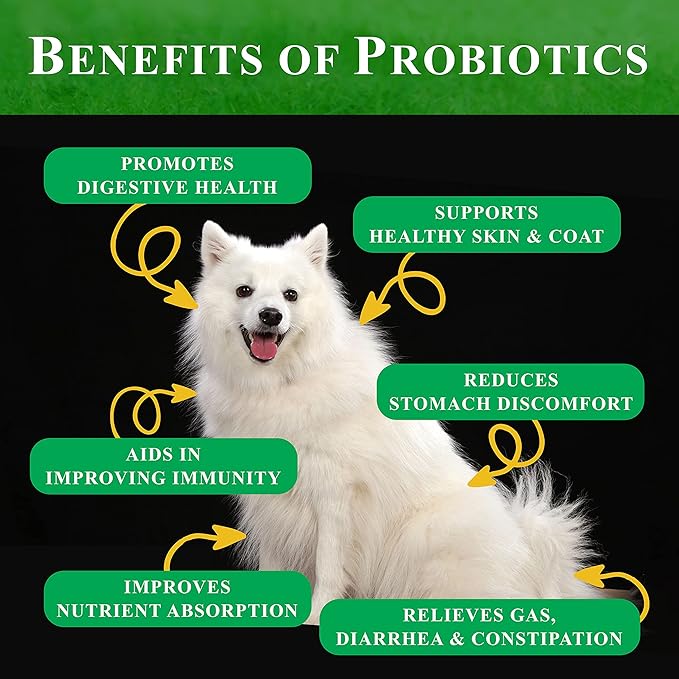 Probiotics for Dogs | All-Natural Dog Probiotic Supplement with Enzymes, Prebiotics, Pumpkin | Promote Digestive Health, Improve Allergy & Immunity, 90 Count (Pack of 1)
