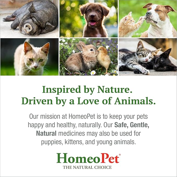 HomeoPet Digestive Upsets, Natural Pet Digestive Support, Digestive Supplement for Dogs, Cats, and Small Pets, 15 Milliliters
