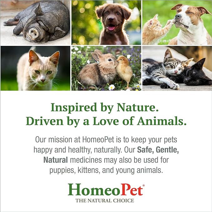 HomeoPet Joint Stress, Joint Support for Dogs and Cats, Liquid Pet Meds to Support Healthy Joint Movement, 15 Milliliters