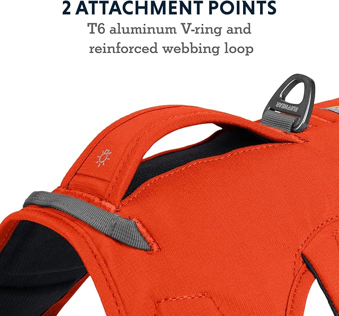 Ruffwear, Web Master, Multi-Use Support Dog Harness, Hiking and Trail Running, Service and Working, Everyday Wear, Blaze Orange, Large/X-Large