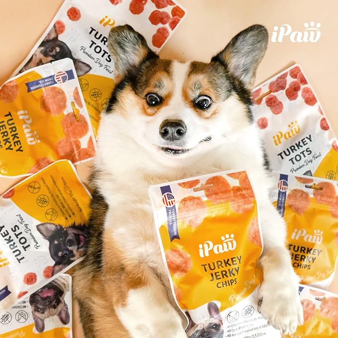 Dog Treats for Puppy Training, All Natural Human Grade Dog Treat, Hypoallergenic, Easy to Digest (Fish Sticks)