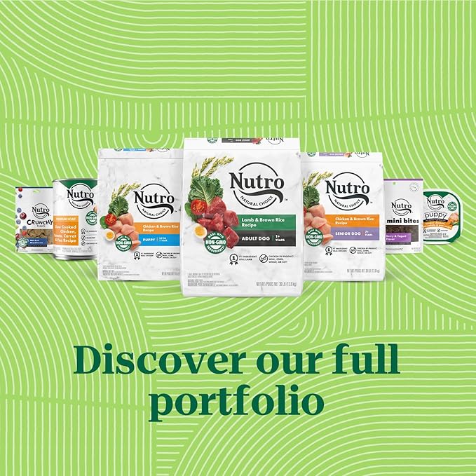 NUTRO NATURAL CHOICE Adult Small Bites Dry Dog Food, Chicken & Brown Rice Recipe Dog Kibble, 13 lb. Bag